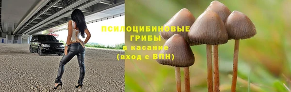 хмурый Алзамай