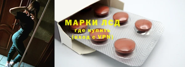 хмурый Алзамай