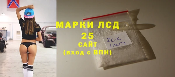 хмурый Алзамай