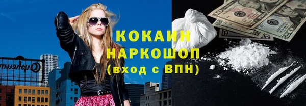 хмурый Алзамай