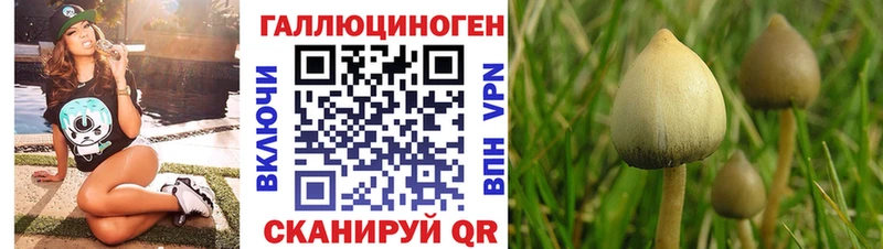 купить наркоту  Волхов  Галлюциногенные грибы мицелий 