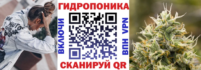 МАРИХУАНА индика Волхов